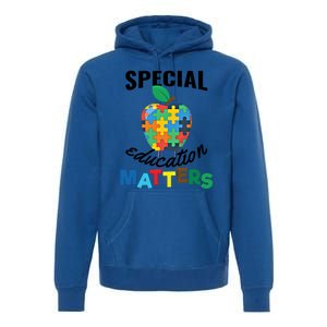 Special Education Matters Autism Awareness Gift Cool Gift Premium Hoodie