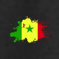 Senegal Flag Grunge Adult Drive Performance Visor