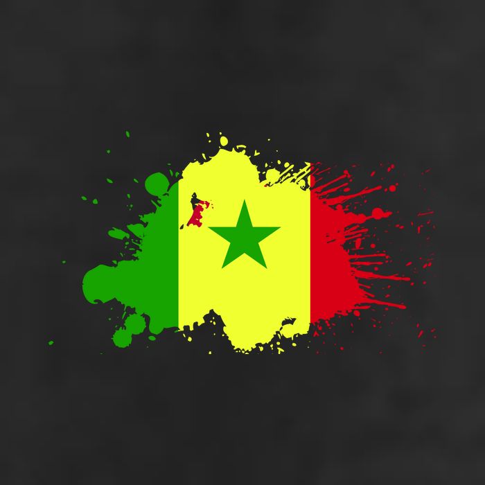 Senegal Flag Grunge Adult Drive Performance Visor