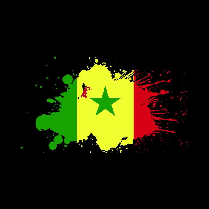 Senegal Flag Grunge 16 in Basic Backpack