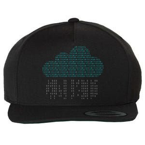 Software Engineer Programming Computer Developer Coder Wool Snapback Cap