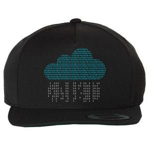 Software Engineer Programming Computer Developer Coder Gift Wool Snapback Cap