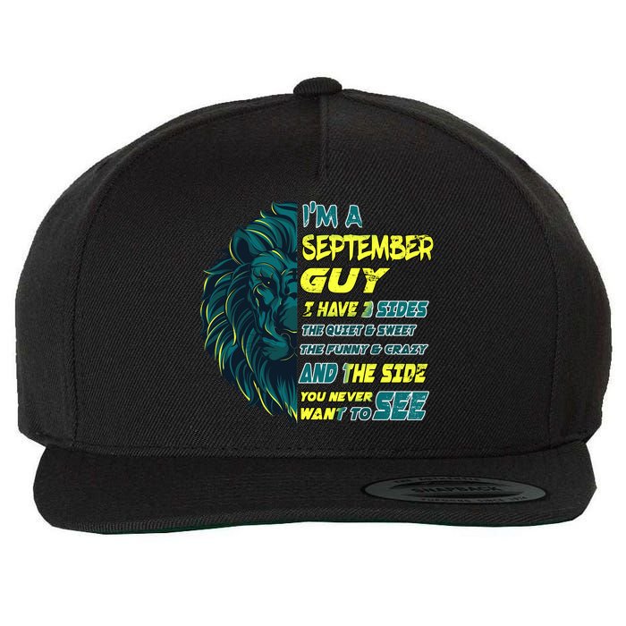 September Birthday Guy Has 3 Sides Sweet Funny Crazy  Wool Snapback Cap