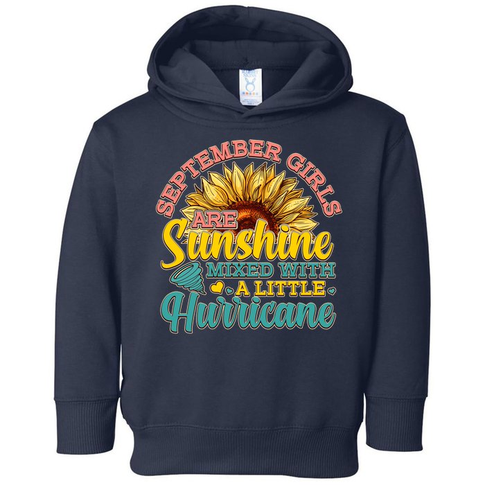 September Girls Sunshine And Hurricane Cute Toddler Hoodie