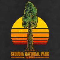 Sequoia National Park California Adult Drive Performance Visor