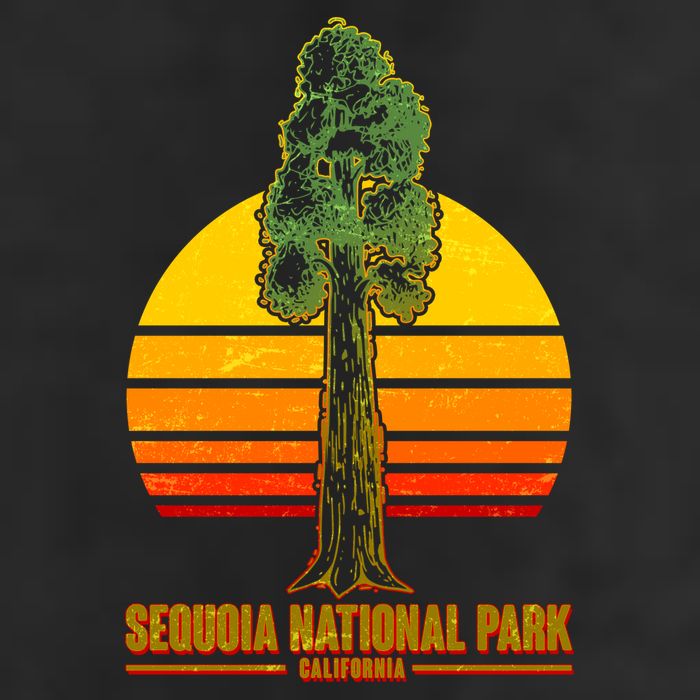 Sequoia National Park California Adult Drive Performance Visor