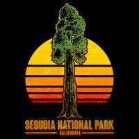 Sequoia National Park California Cropped Pullover Crew