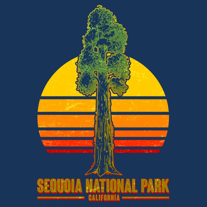 Sequoia National Park California Kids T-Shirt