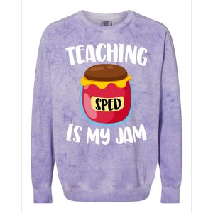 Special Education Sped Teacher Cool Gift Teaching Is My Jam Gift Colorblast Crewneck Sweatshirt