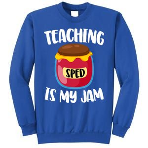 Special Education Sped Teacher Cool Gift Teaching Is My Jam Gift Sweatshirt