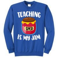 Special Education Sped Teacher Cool Gift Teaching Is My Jam Gift Sweatshirt