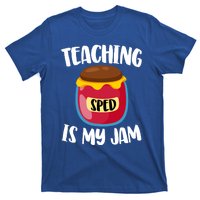 Special Education Sped Teacher Cool Gift Teaching Is My Jam Gift T-Shirt