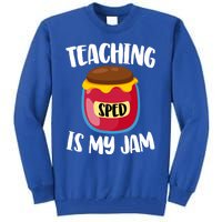 Special Education Sped Teacher Cool Gift Teaching Is My Jam Gift Tall Sweatshirt