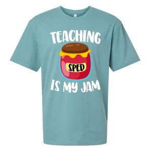 Special Education Sped Teacher Cool Gift Teaching Is My Jam Gift Sueded Cloud Jersey T-Shirt