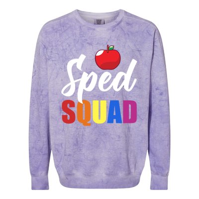 Sped Ed Sped Squad Special Education Teacher Gift Colorblast Crewneck Sweatshirt