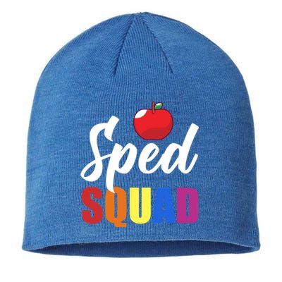 Sped Ed Sped Squad Special Education Teacher Gift Sustainable Beanie