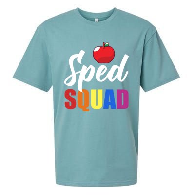 Sped Ed Sped Squad Special Education Teacher Gift Sueded Cloud Jersey T-Shirt