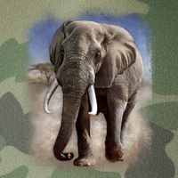 Safari Elephant Legacy Tie Dye Trucker Hat