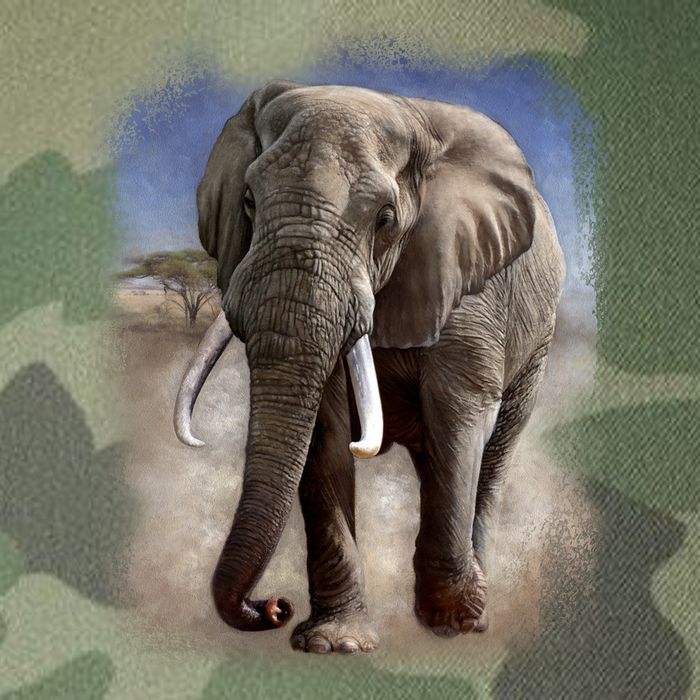 Safari Elephant Legacy Tie Dye Trucker Hat