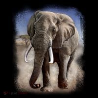 Safari Elephant Impact Tech Backpack