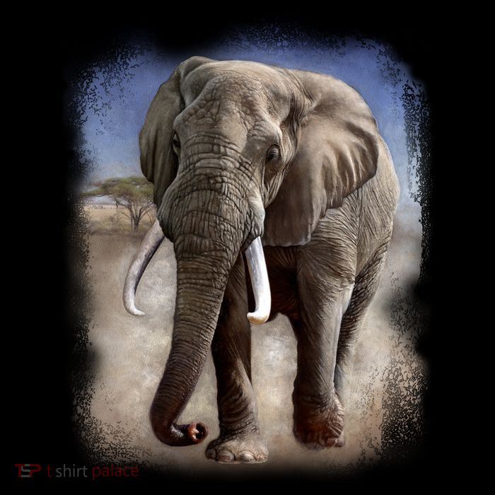 Safari Elephant Impact Tech Backpack