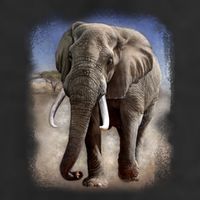 Safari Elephant Golf Towel