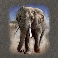 Safari Elephant Cotton Canvas Backpack