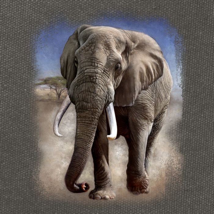 Safari Elephant Cotton Canvas Backpack