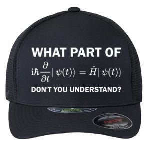 Schrödinger Equation Science Funny Physics Saying Physicist Great Gift Flexfit Unipanel Trucker Cap