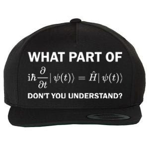 Schrödinger Equation Science Funny Physics Saying Physicist Great Gift Wool Snapback Cap