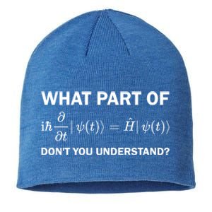 Schrödinger Equation Science Funny Physics Saying Physicist Great Gift Sustainable Beanie