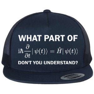 Schrödinger Equation Science Funny Physics Saying Physicist Great Gift Flat Bill Trucker Hat