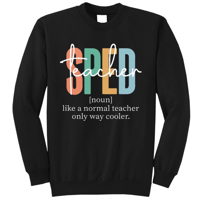 Special Education Sped Teacher Definition Sweatshirt