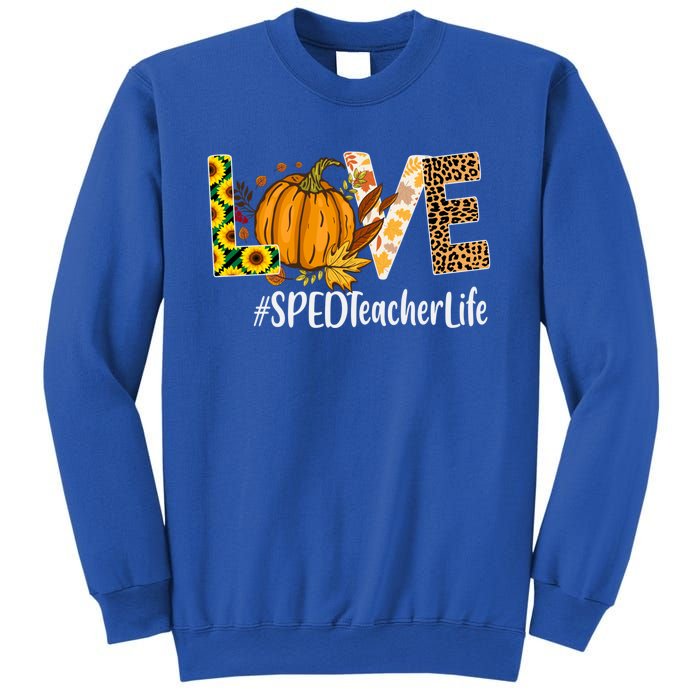 Special Education Teacher Love Fall Leopard Halloween Autumn Gift Sweatshirt