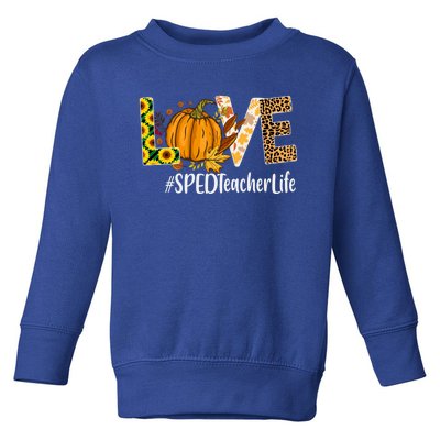 Special Education Teacher Love Fall Leopard Halloween Autumn Gift Toddler Sweatshirt