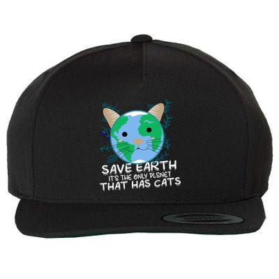 Save Earth The Only Planet With Cats Wool Snapback Cap