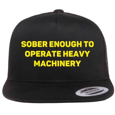 Sober Enough To Operate Heavy Machinery Funny College Party Drinking Flat Bill Trucker Hat