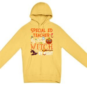 Special Ed Teacher By Day Witch By Night Great Gift Premium Pullover Hoodie