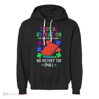 Special Ed Teacher Or Funny Special Education Teacher Funny Gift Garment-Dyed Fleece Hoodie