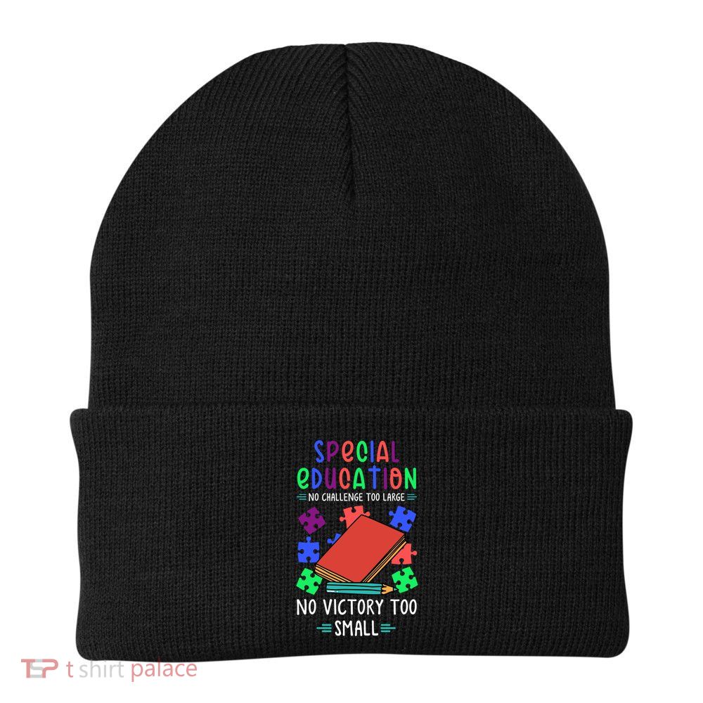 Special Ed Teacher Or Funny Special Education Teacher Funny Gift Beanie