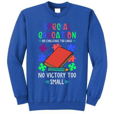 Special Ed Teacher Or Funny Special Education Teacher Funny Gift Tall Sweatshirt
