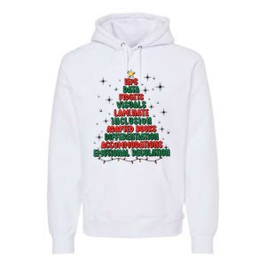 Special Ed Teacher Christmas Holiday Teacher Xmas Lights Premium Hoodie