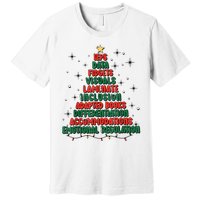 Special Ed Teacher Christmas Holiday Teacher Xmas Lights Premium T-Shirt