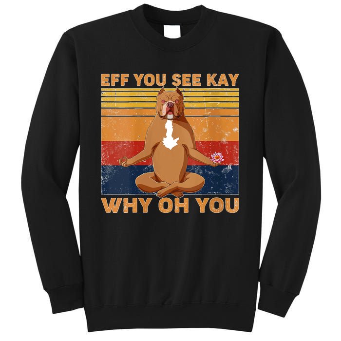 S Eff You See Kay Why Oh You Funny Pitbull Dog Yoga Vintage V Neck Sweatshirt