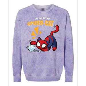 Spider Funny Amazing Spider Cat Meme Colorblast Crewneck Sweatshirt