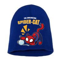 Spider Funny Amazing Spider Cat Meme Short Acrylic Beanie