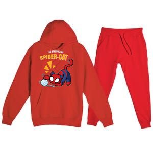 Spider Funny Amazing Spider Cat Meme Premium Hooded Sweatsuit Set