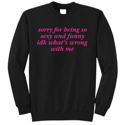 Sorry For Being So Sexy And Funny Idk WhatS Wrong Sweatshirt