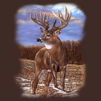 Super Freak Buck T-Shirt