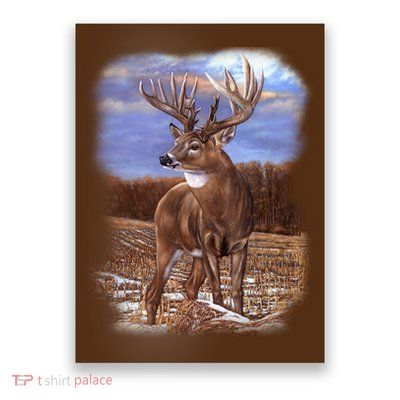 Super Freak Buck Poster